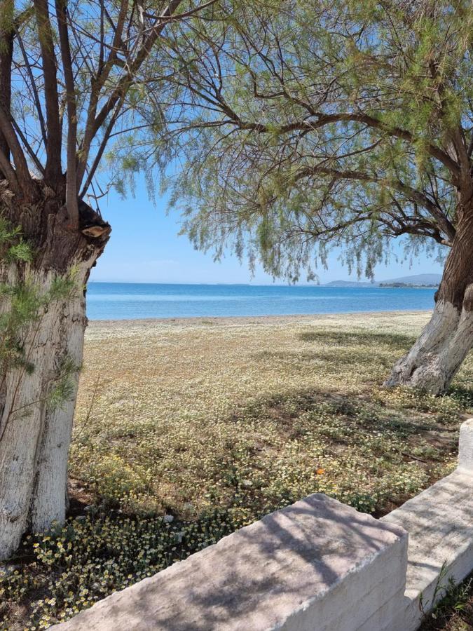 Aparthotel To Kyma Amarynthos Zewnętrze zdjęcie